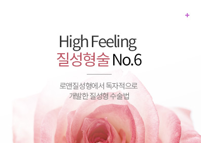 high feeling 질성형술 No.6 로앤여성성형에서 독자적으로 개발할 질성형 수술법