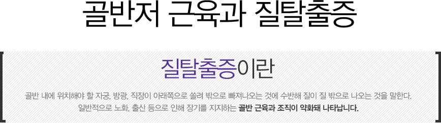 골반저 근육과 질탈출증